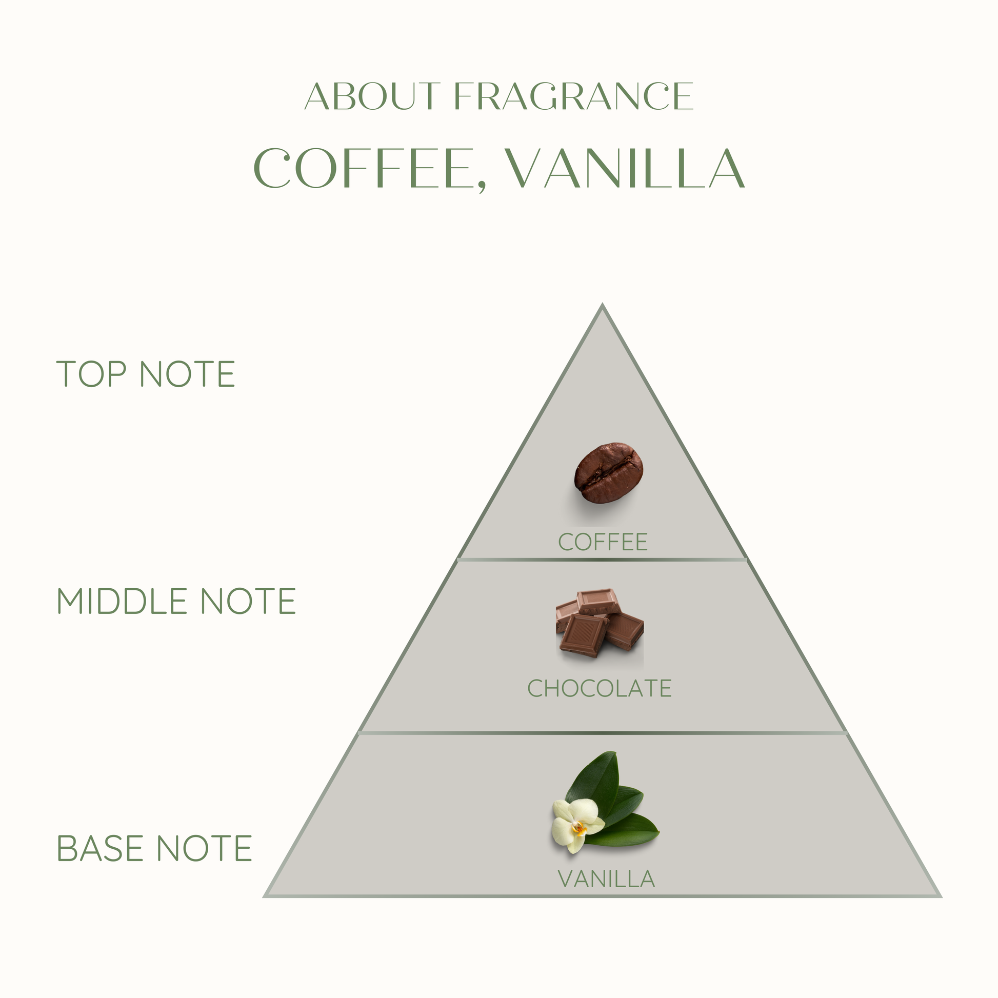 Eco friendly candle Fragrance pyramid with coffee, chocolate, and vanilla notes on a white background