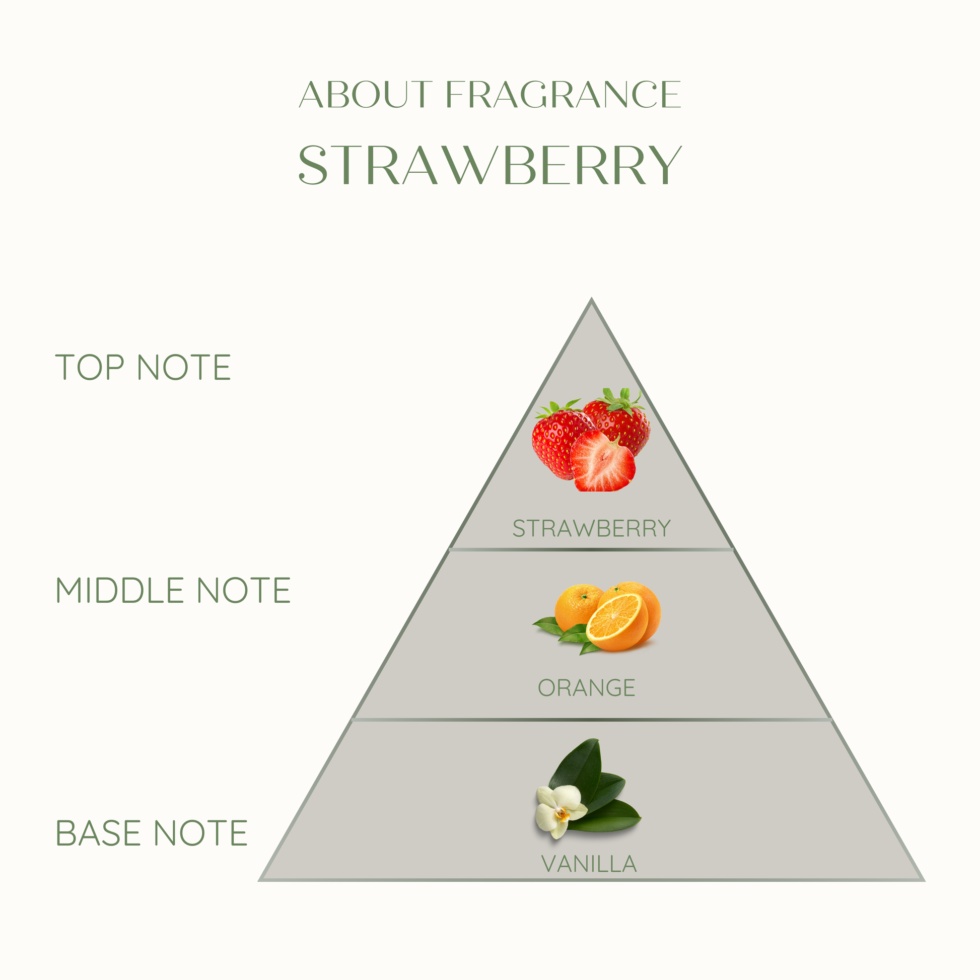 Eco friendly candle Fragrance pyramid for strawberry with top, middle, and base notes labeled.