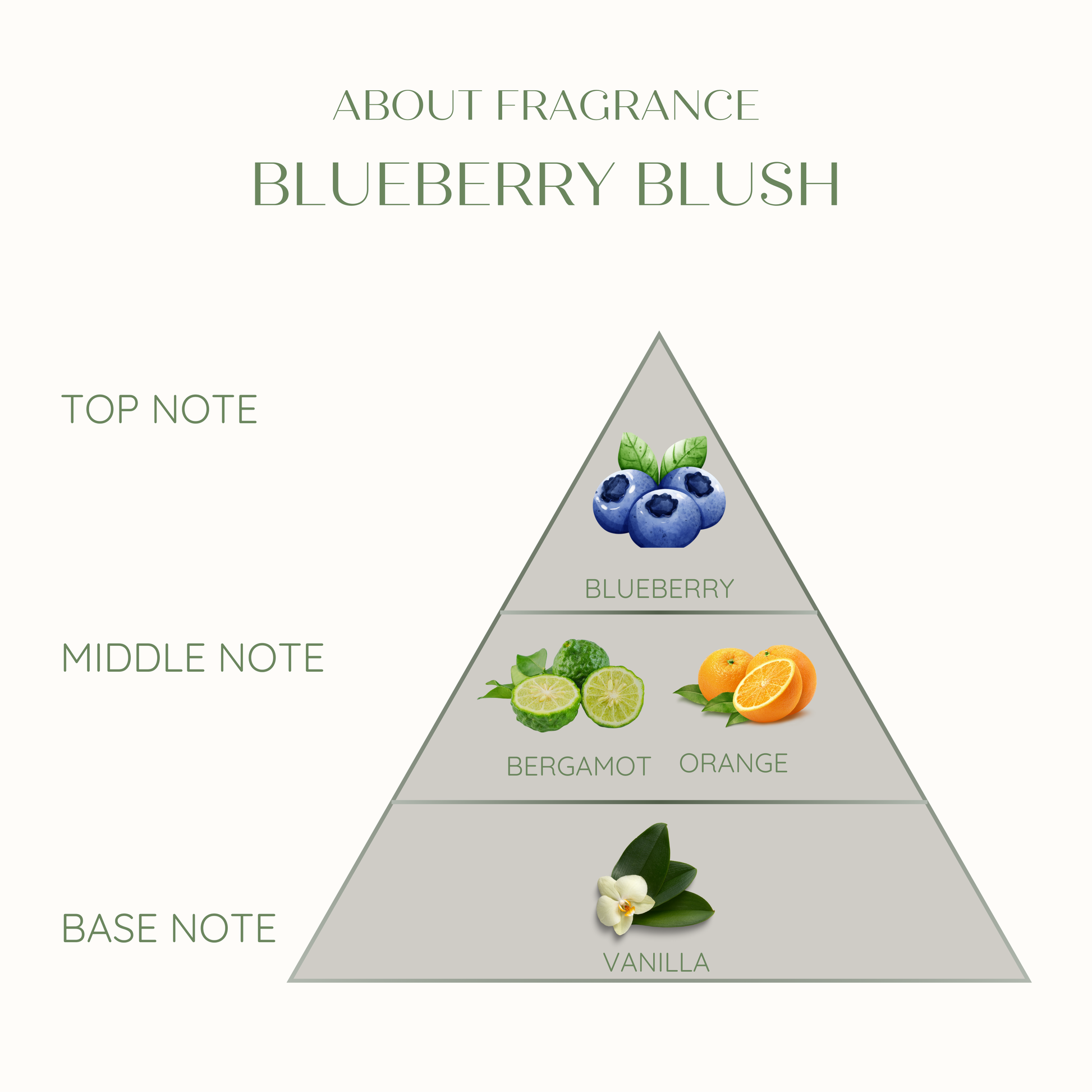 Eco friendly candle pyramid for 'Blueberry Blush' with top, middle, and base notes labeled.