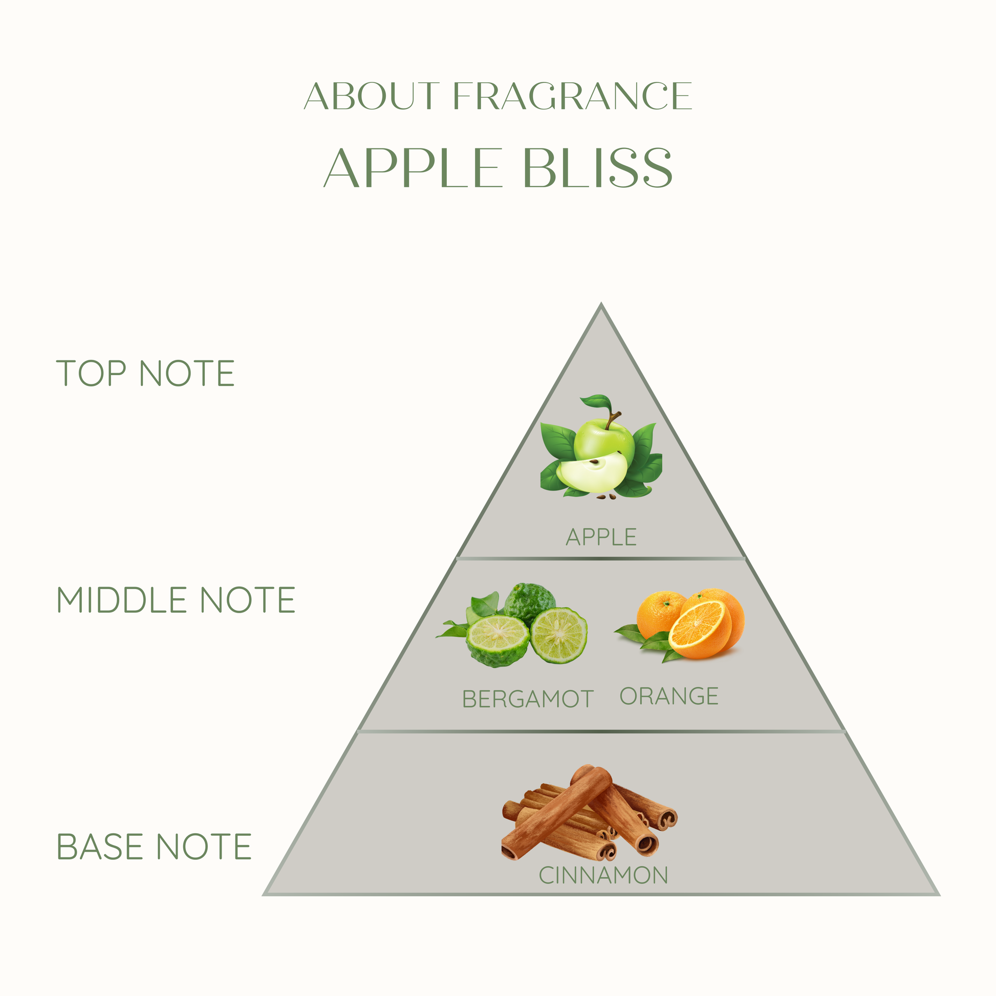 Diagram of Apple Bliss Eco friendly candle with top, middle, and base notes labeled and illustrated.
