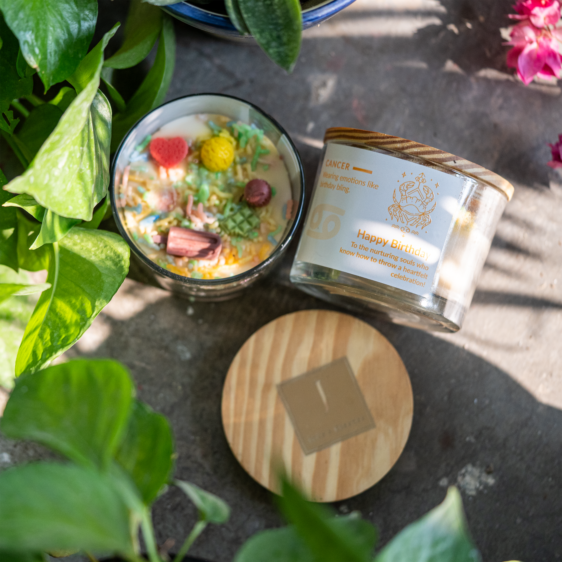 ecofriendly Candle with decorative elements on a stone surface surrounded by plants