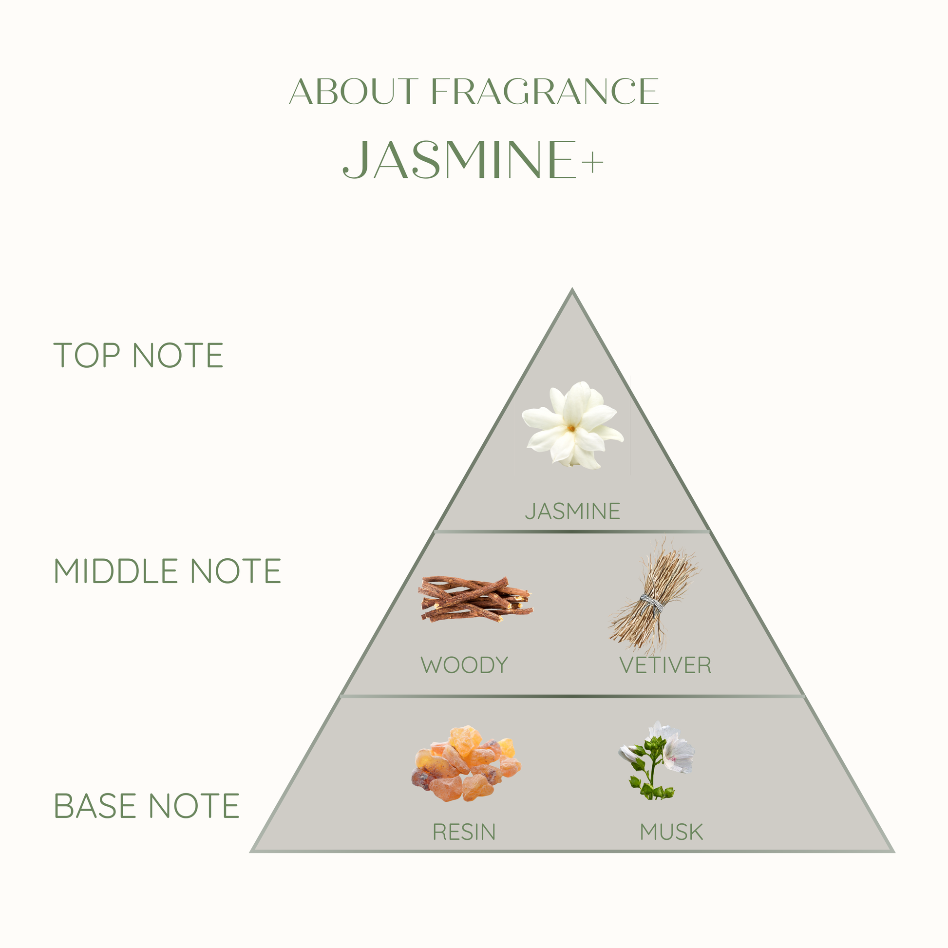 Diagram of a fragrance pyramid featuring jasmine and other notes on a white background